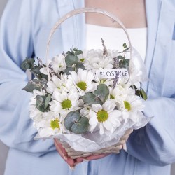 korzinka s hrizantemoj romashkoj 1